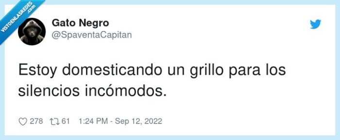 domesticando,incómodos,silencios,grillo