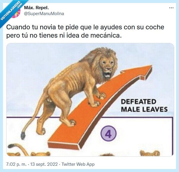 coche,mecánica,novia