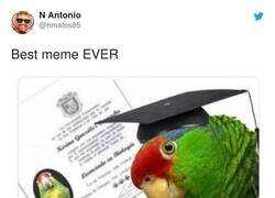 Enlace a Y si al final de la reunión cierra con un 