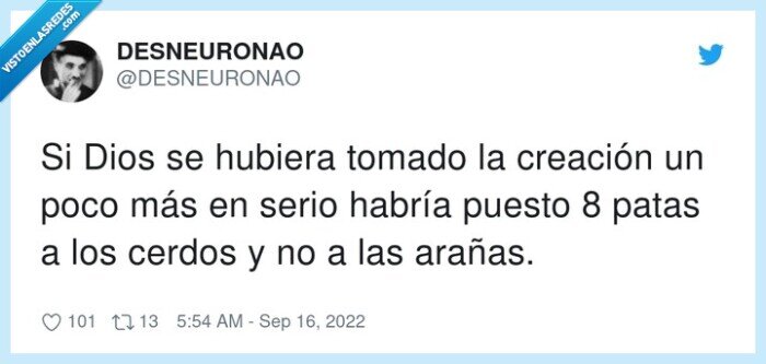 creación,arañas,cerdo,patas
