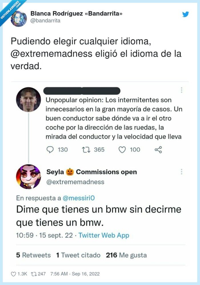 bmw,intermitentes,mirar
