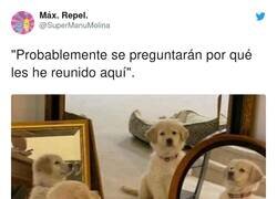 Enlace a Esto va en serio, por @SuperManuMolina