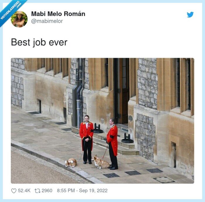 guardas reales,uk,reina isabel ii,perros,corgi