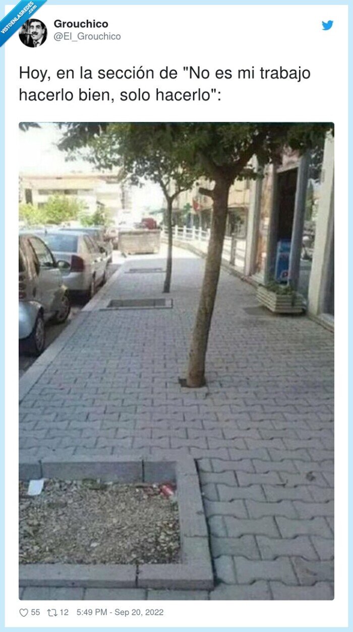 arbol,plantar,calle,fail