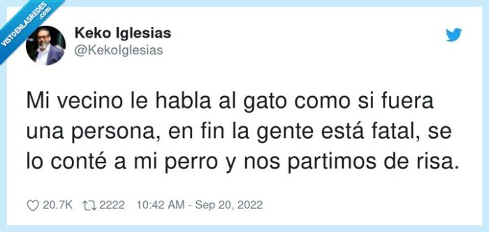 vecino,hablar,animales,gatos,perros
