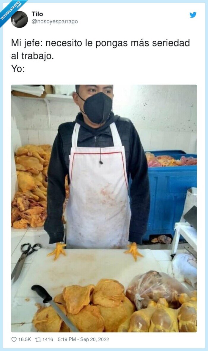 alegría,pollos,patas