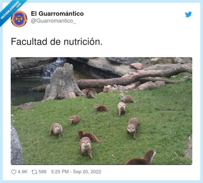 nutrición,facultad,nutrias