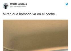 Enlace a Komodo en el coche, por @ChisteSebaceo