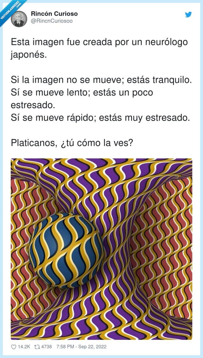 neurólogo,tranquilo,estresado,japonés,rápido