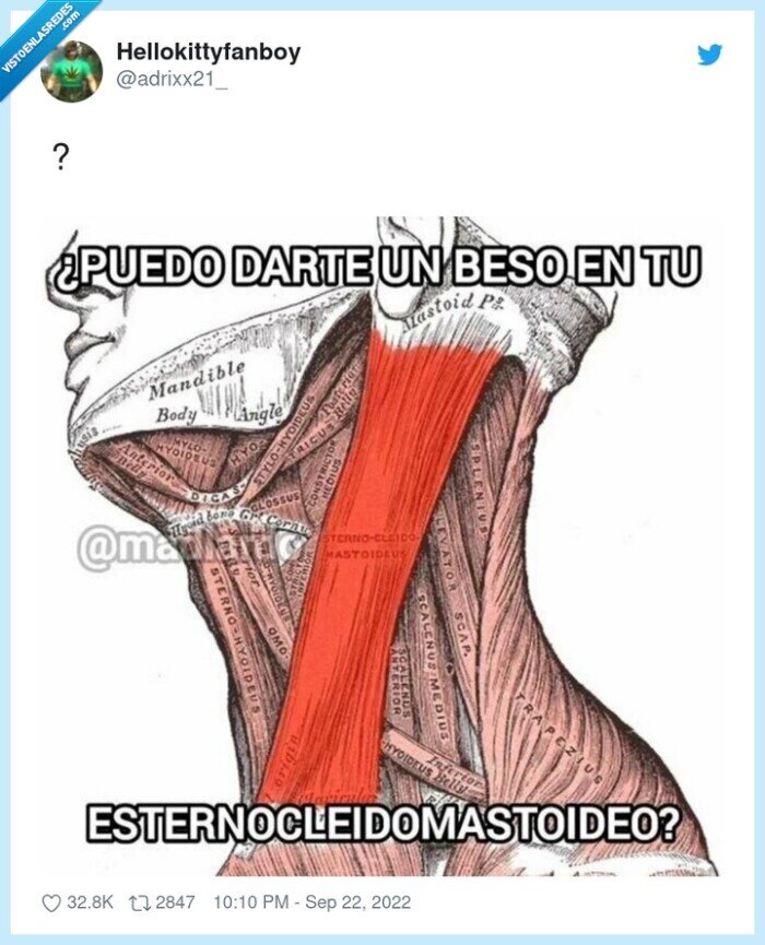 beso,cuello,esternocleidomastoideo
