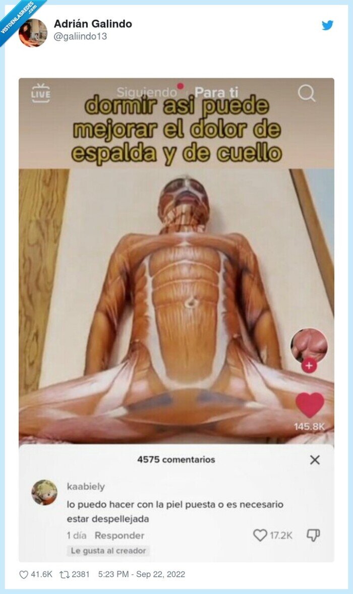 pellejo,cuertpo,piel puesta