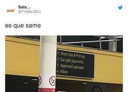 Enlace a Chonis choneando, por @TVSALSEO