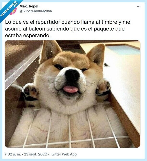 repartidor,timbre,balcón,paquete