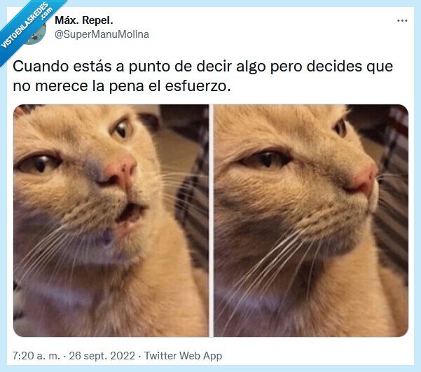 esfuerzo,decir,merecer