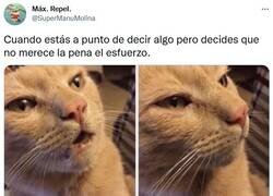 Enlace a Me ahorro la saliva por @supermanumolina