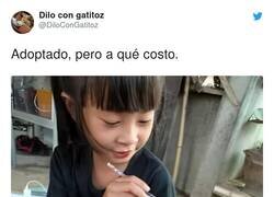 Enlace a Hay adoptados que tienen mala suerte por @DiloConGatitoz