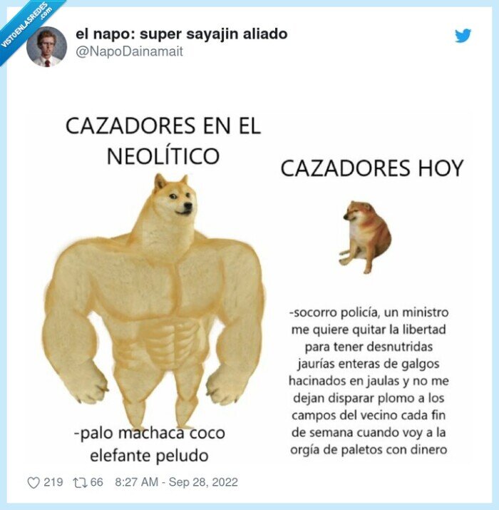 cazadores,mimi,doge,cheems