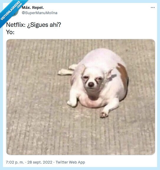 netflix,seguir,dormir