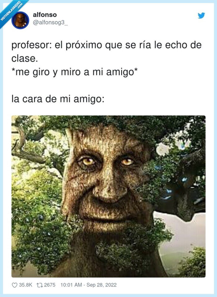 árbol,amigo,clase,cara