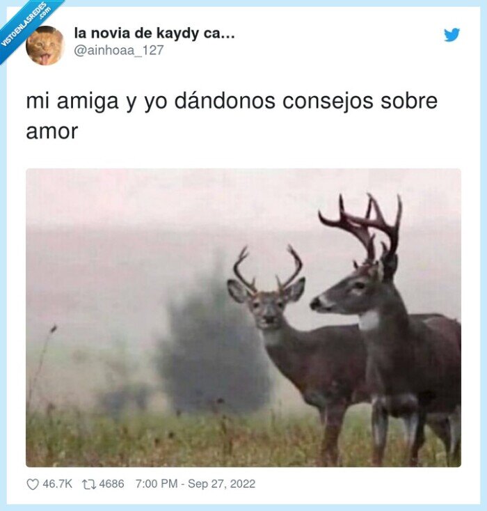 consejos,amiga,cuernos