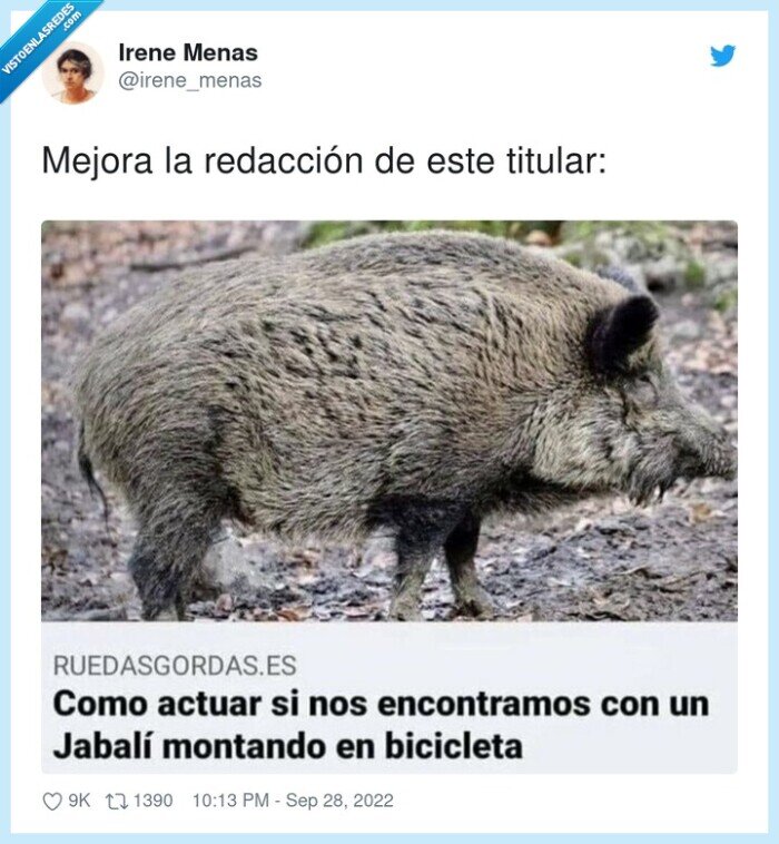 redacción,titular,mejora,jabalí
