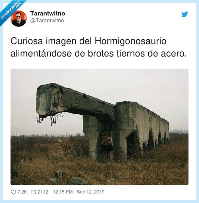 hormigonosaurio,alimentándose,tiernos,imagen,brotes