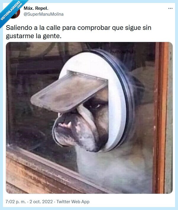 gente,salir,gustar,calle,comprobar