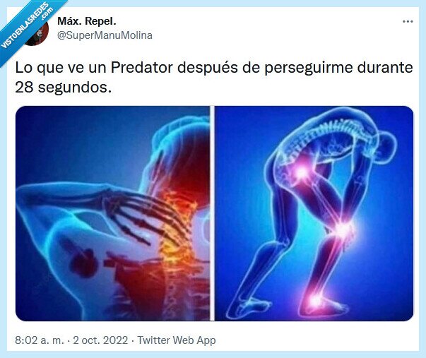 predator,ver,perseguir