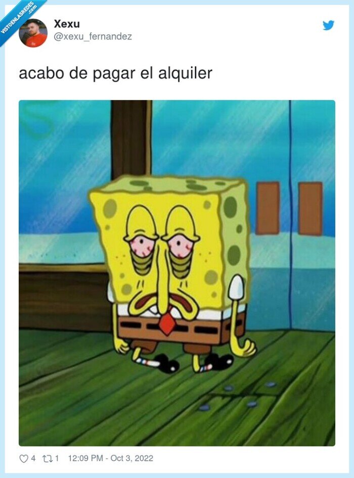 alquiler,bob esponja,pagar