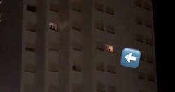 Enlace a Spain is different, tremendo espectáculo el que han montado en este edificio