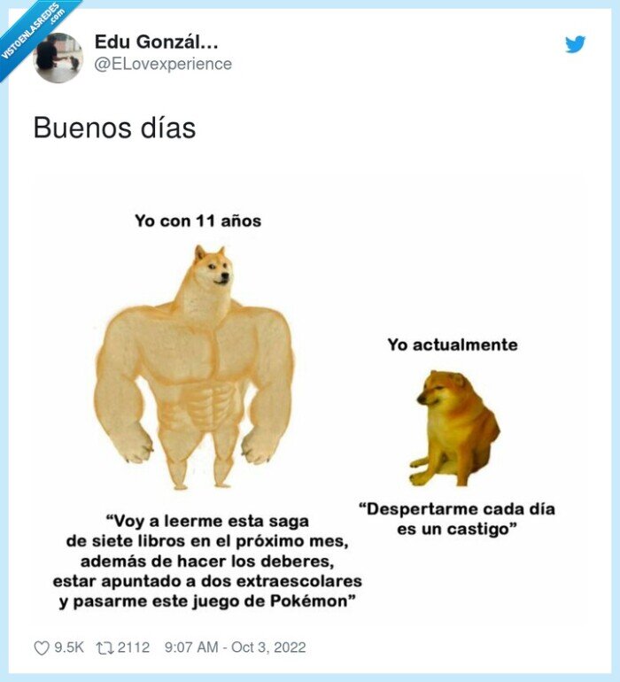 cheems,doge,castigo,vivir,aprovechar el tiempo