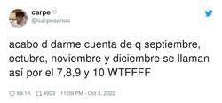 Enlace a OSTRAS, por @carpesanoo