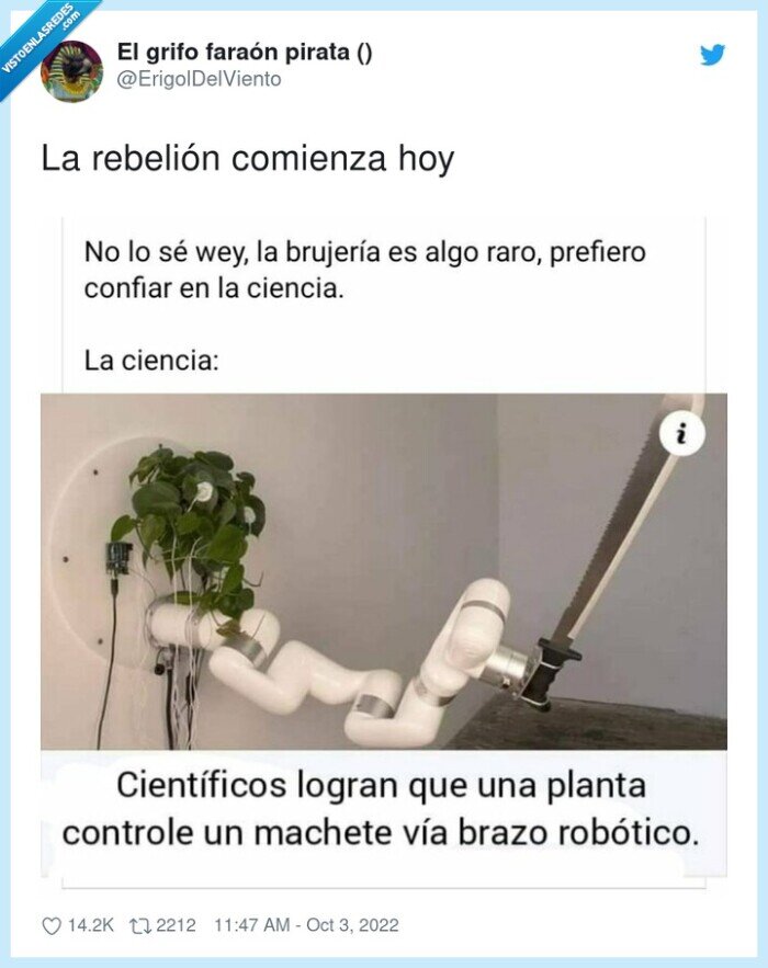 rebelión,comienza,plantas,machete,planta,ciencia