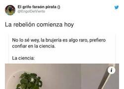 Enlace a Es una rebelión fácil de resolver. Basta con no regarla un par de días, por @ErigolDelViento
