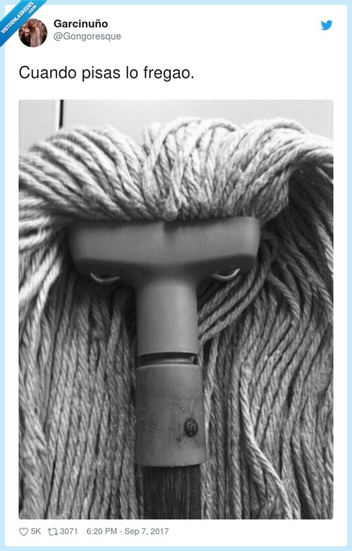 fregao,pisar,mala hostia,fregona