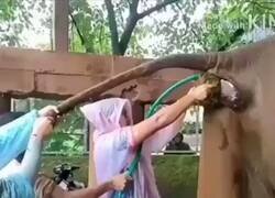 Enlace a Este vídeo te hará valorar más tu trabajo, por @Don_Favs