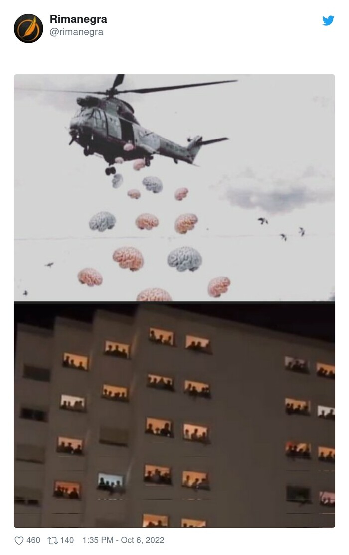 colegio mayor,cerebros,madriguera