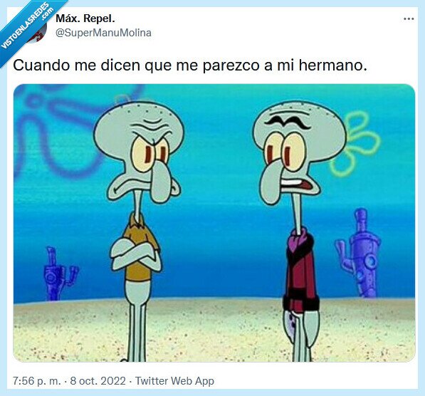 hermano,parecer,insulto