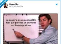 Enlace a ¿Y ahora qué eh veganos?, por @SuperCapuchita