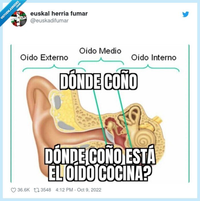 oído cocina,oido,oreja,partes
