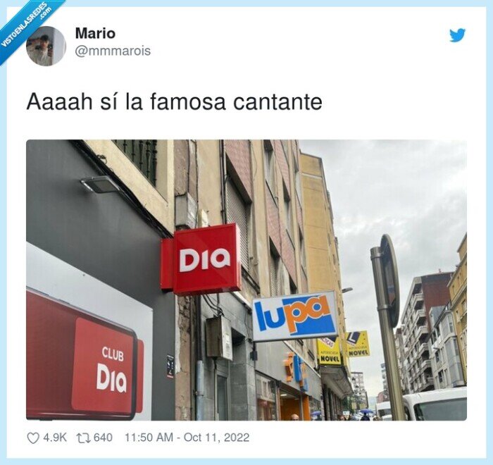 cantante,famosa,dua lipa,dia,lupa