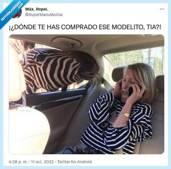 modelito,cebra,ropa,comprar