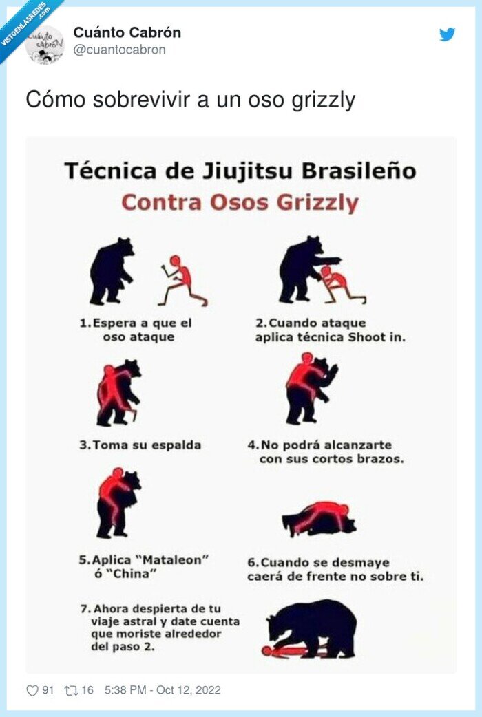 sobrevivir,grizzly,cómo,oso