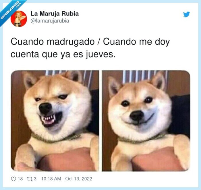 madrugar,jueves,semana,puente,raro,12 octubre