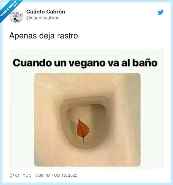 rastro,hoja,vegano,wc