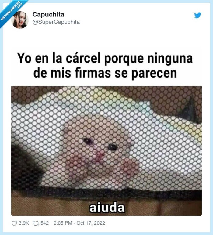 cárcel,firma,diferente,parecerse