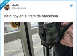 Enlace a Me encantaría ver la respuesta de la mujer, por @aleqsmorales