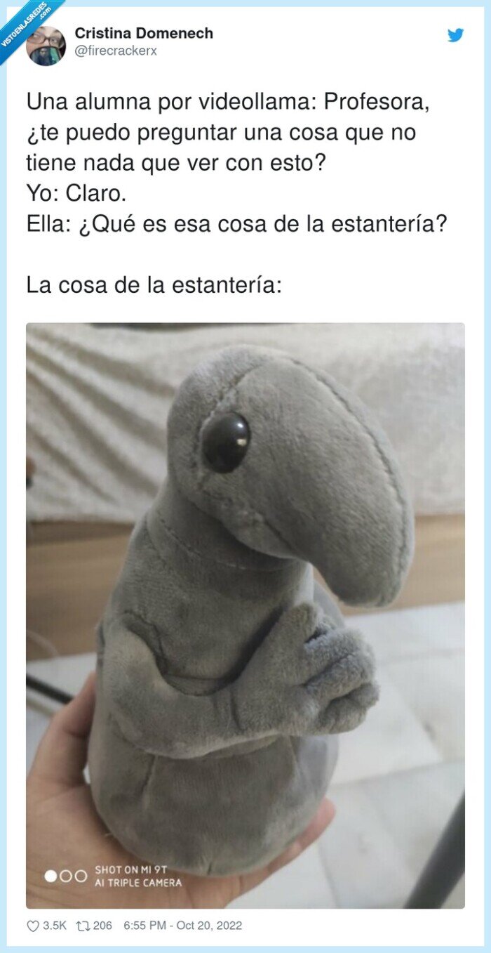 estantería,videollamada,profesora,alumna