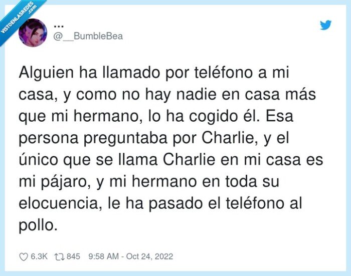 elocuencia,preguntar,teléfono,hermano,pájaro,charlie