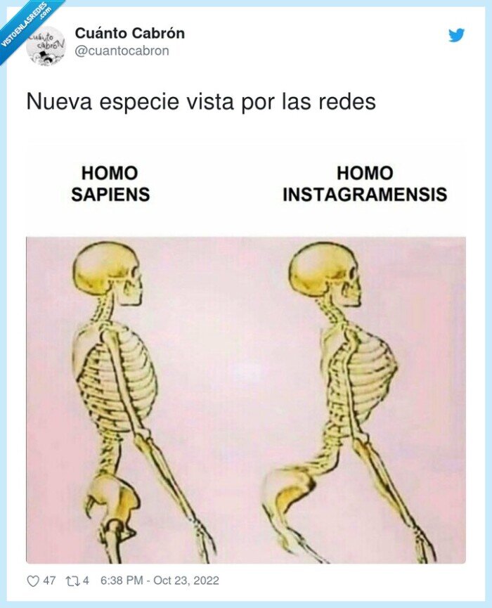 pose,especie,esqueleto,postureo,instagram